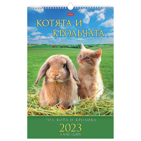 Календарь на гребне с ригелем, 2023 г., 30х45 см, ЛЮКС, "Котята и крольчата", HATBER, 12Кнп3гр_27121